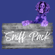 Sniff Pack - dein Trail-Abo