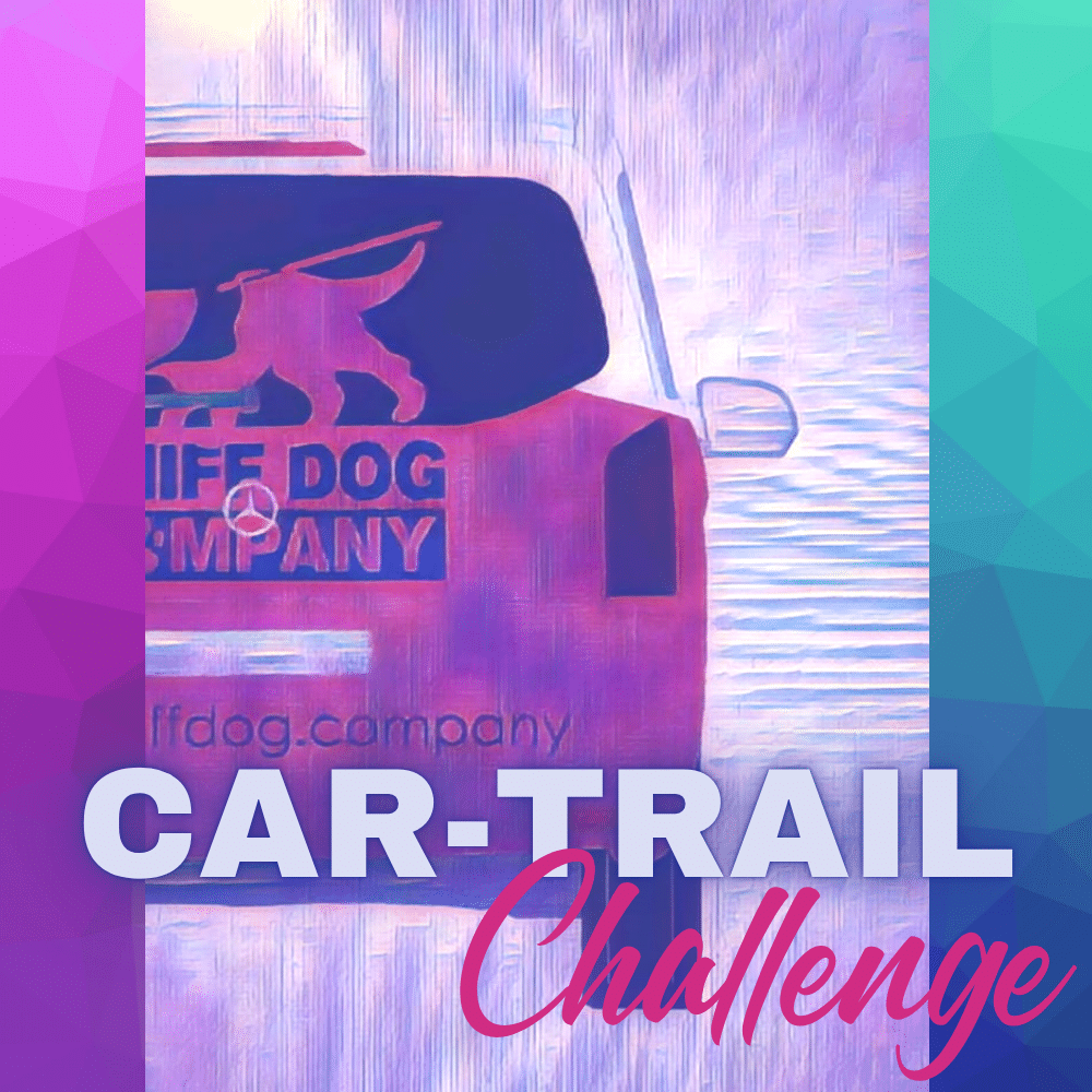 2026-01-06 Car-Trail-Challenge